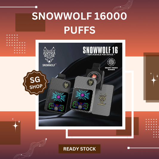 Snowwolf 16000 Puffs disposable vape pod system showcasing its 800mAh battery spec, Type-C port, 1.0ohm mesh coil, and dynamic smart touch screen.